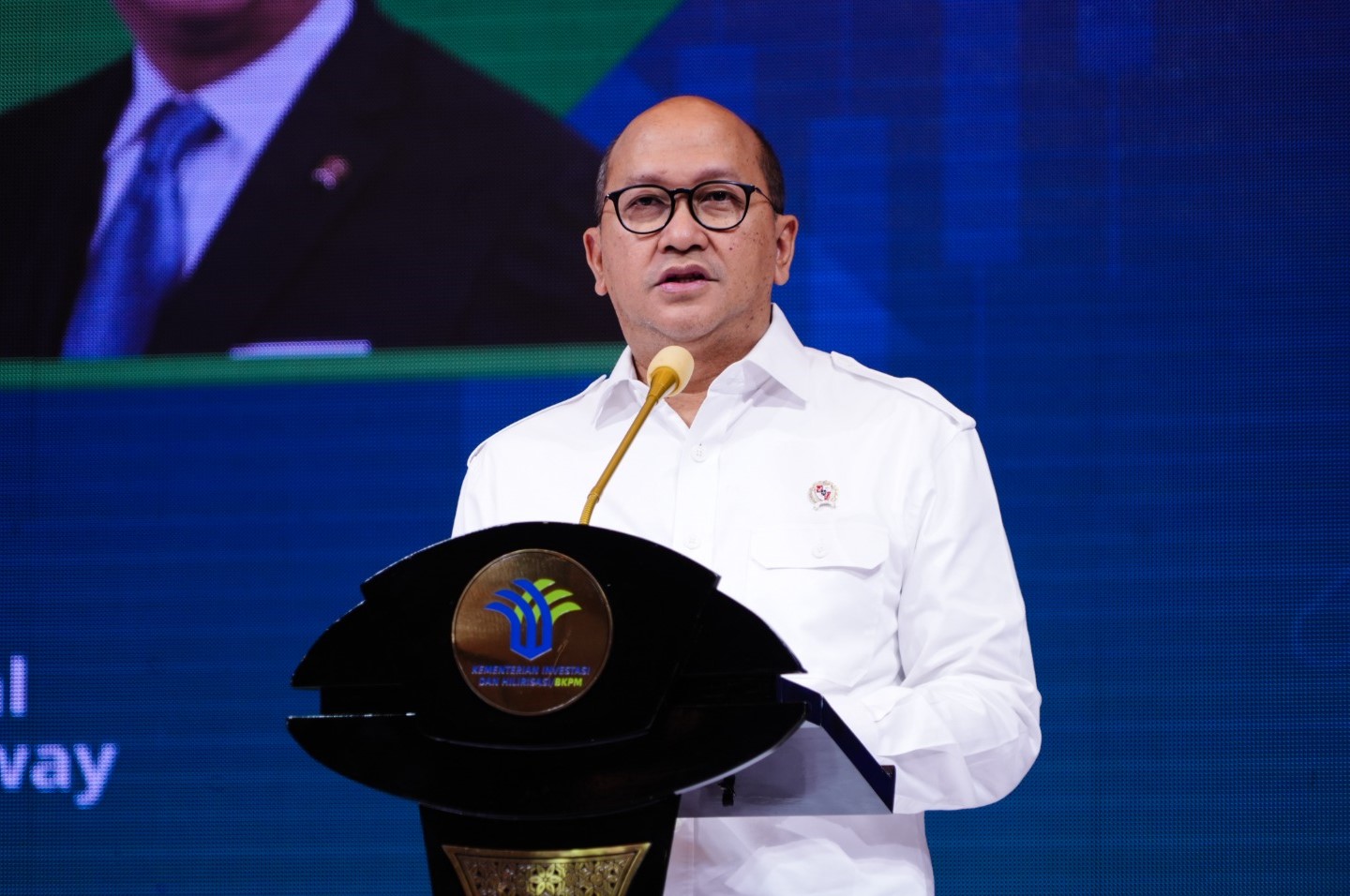 Satu Tahun Prabowo : Perkuat Kemitraan Global dan Transformasi Ekonomi Hijau Strategis